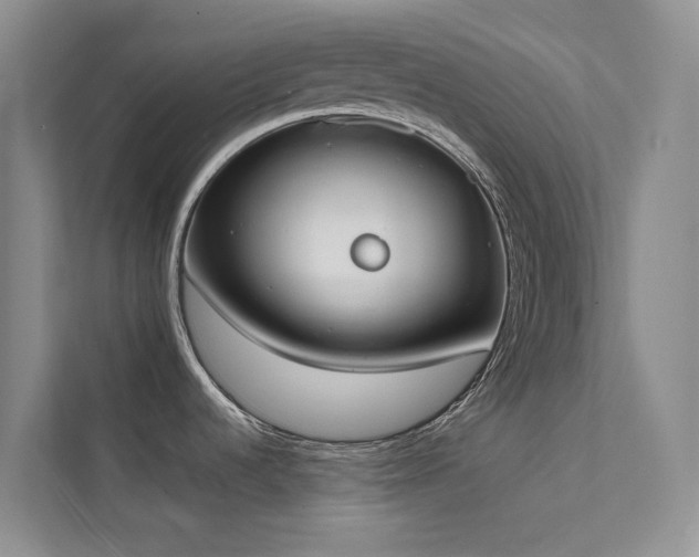 X0000112141536200908071046