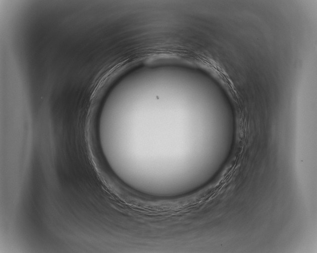 X0000112140001200908141204