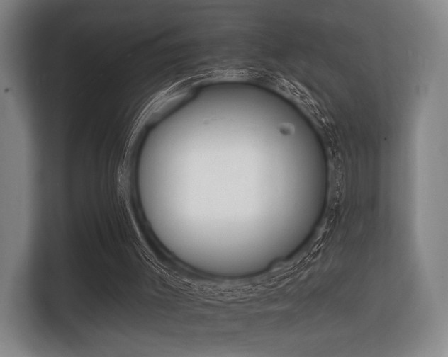 X0000112140003200908141204