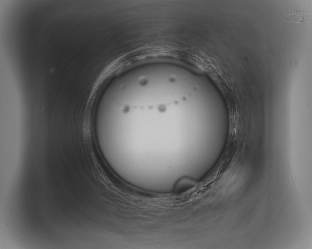 X0000112140004200908141204