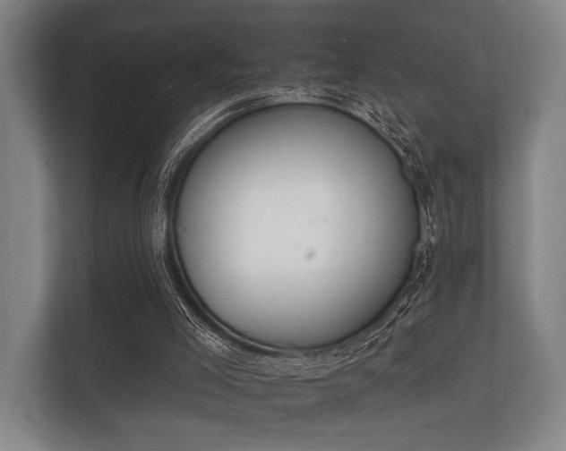 X0000112140005200908141204