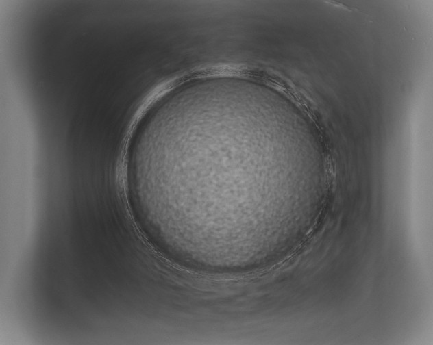 X0000112140006200908141204