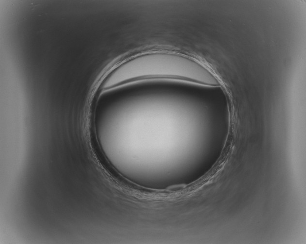 X0000112140007200908141204