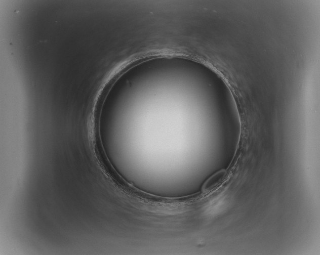 X0000112140008200908141204