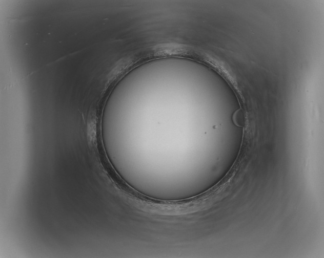 X0000112140010200908141204