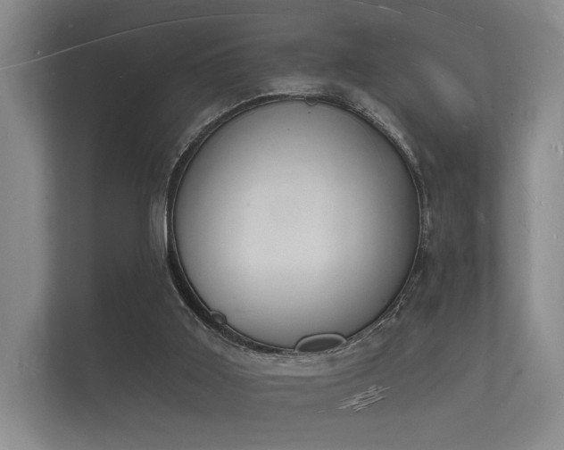 X0000112140011200908141203