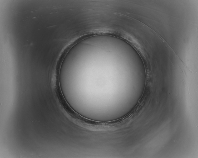 X0000112140012200908141203