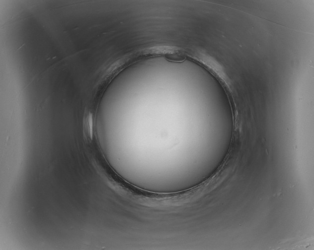 X0000112140013200908141203