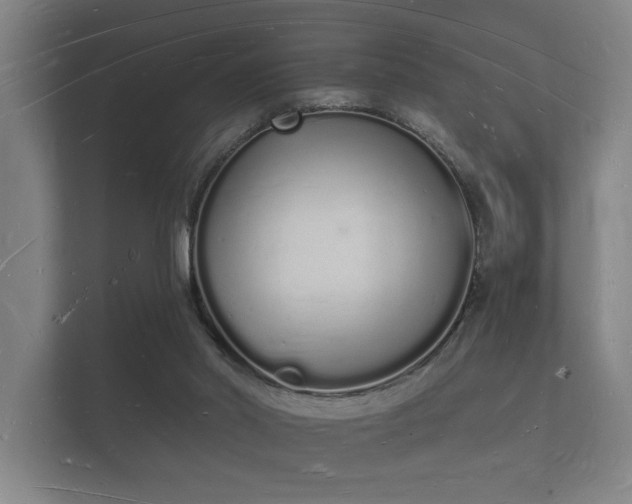 X0000112140014200908141203