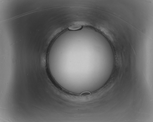 X0000112140015200908141203