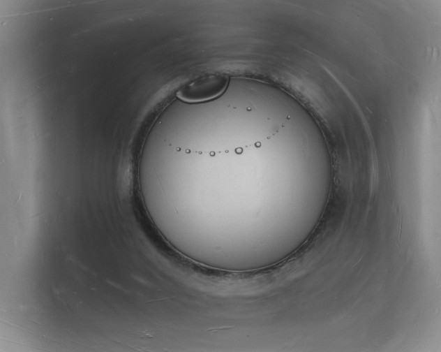 X0000112140016200908141203