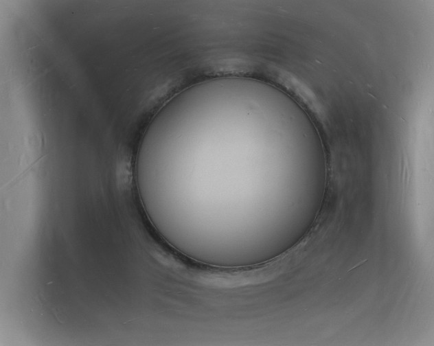 X0000112140017200908141203