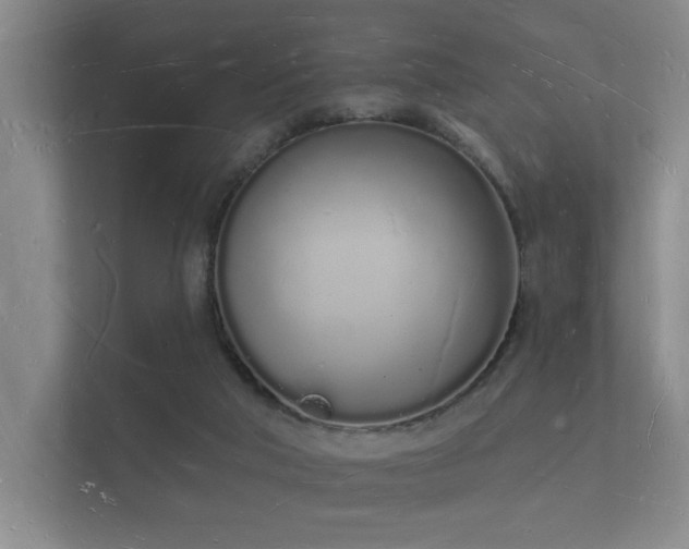 X0000112140018200908141203