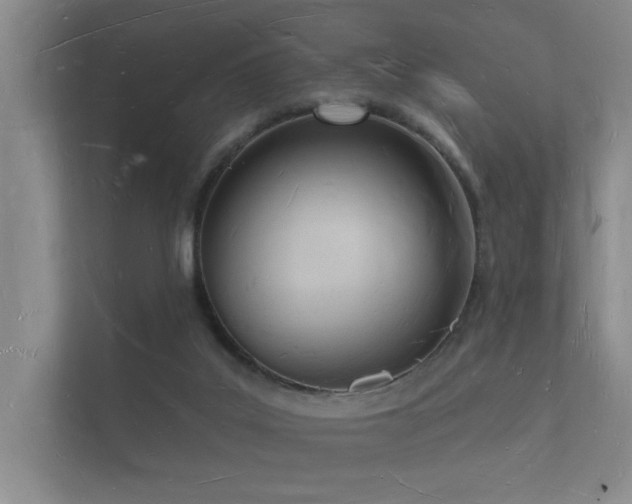 X0000112140019200908141203