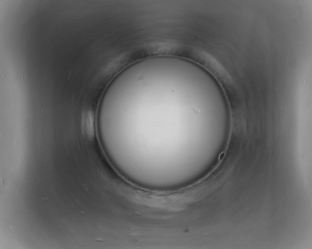 X0000112140022200908141203