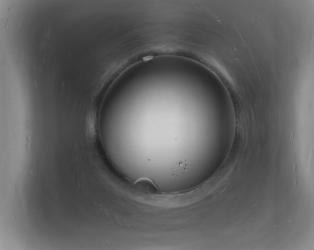 X0000112140023200908141203