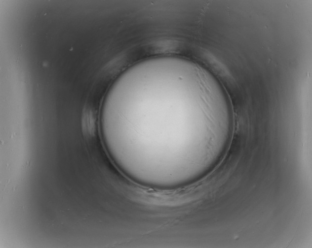 X0000112140026200908141203