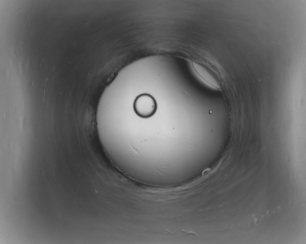 X0000112140029200908141203