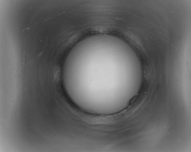 X0000112140036200908141203