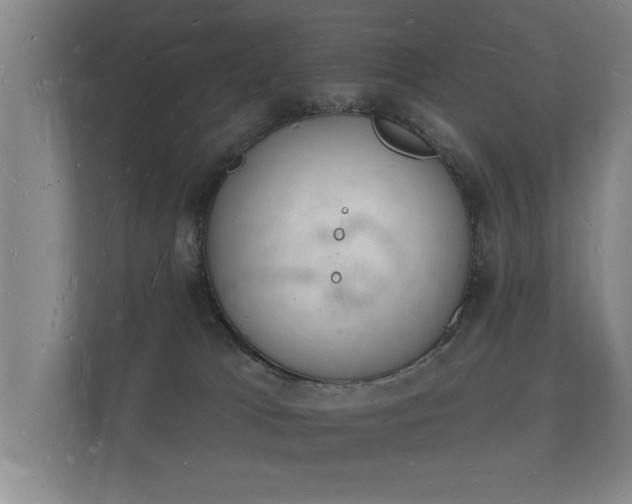 X0000112140037200908141203