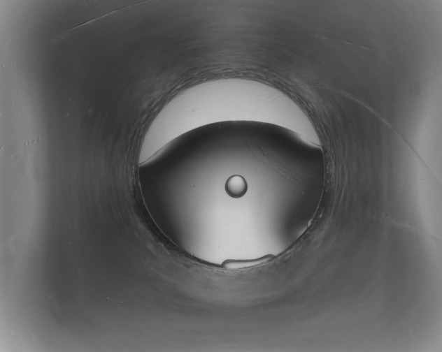 X0000112140039200908141203