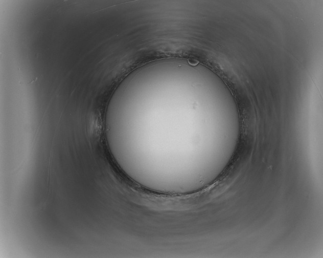 X0000112140040200908141203