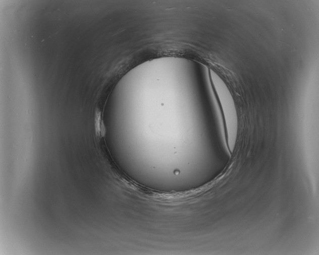 X0000112140041200908141203