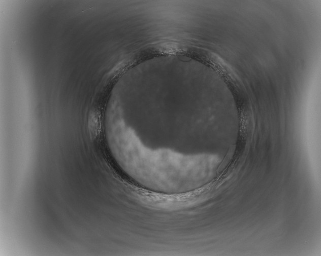 X0000112140043200908141203