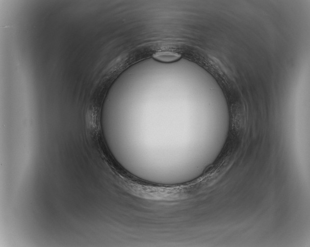 X0000112140044200908141203