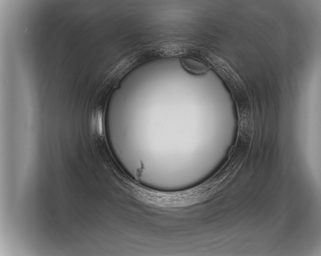 X0000112140046200908141203