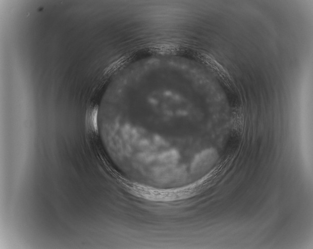 X0000112140047200908141203