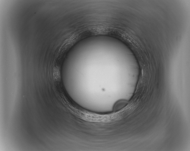 X0000112140048200908141203