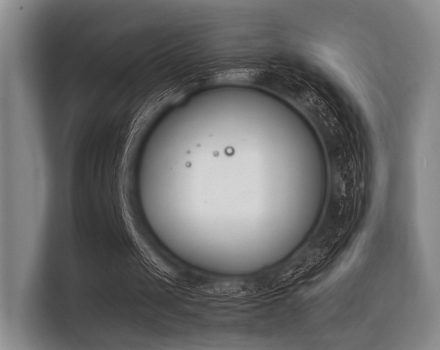 X0000112140049200908141202