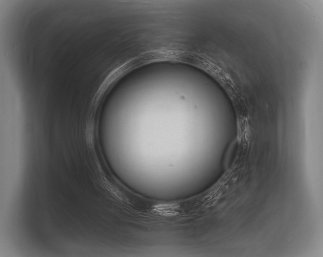 X0000112140051200908141202