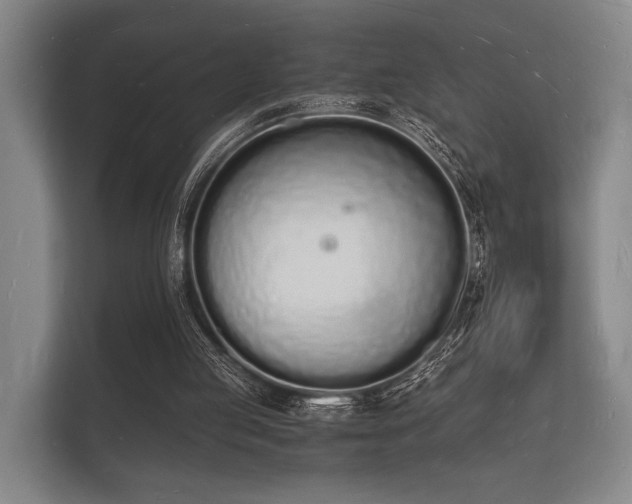 X0000112140053200908141202