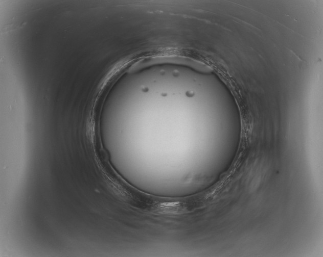 X0000112140054200908141202