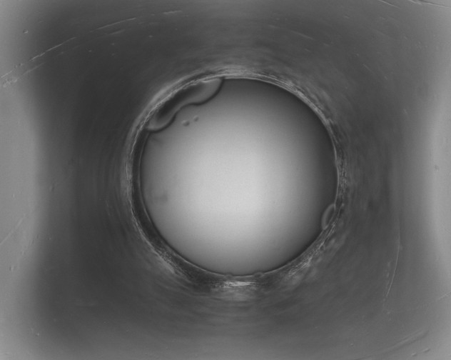 X0000112140055200908141202