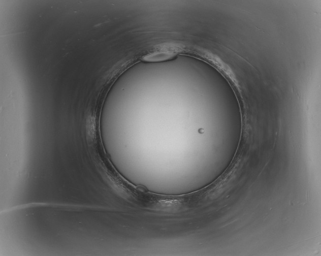 X0000112140057200908141202