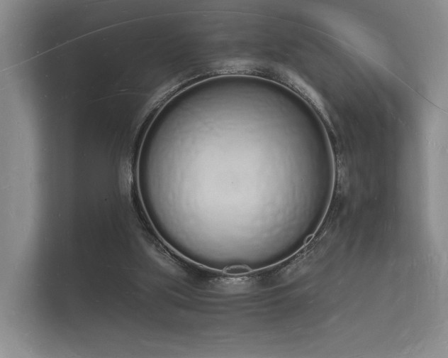 X0000112140059200908141202