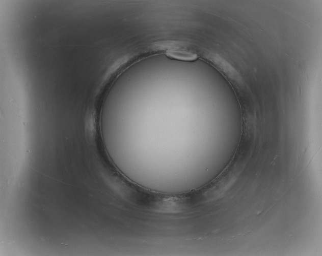 X0000112140064200908141203