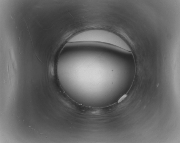 X0000112140068200908141203