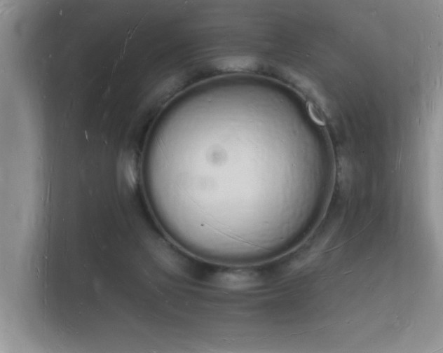 X0000112140069200908141203