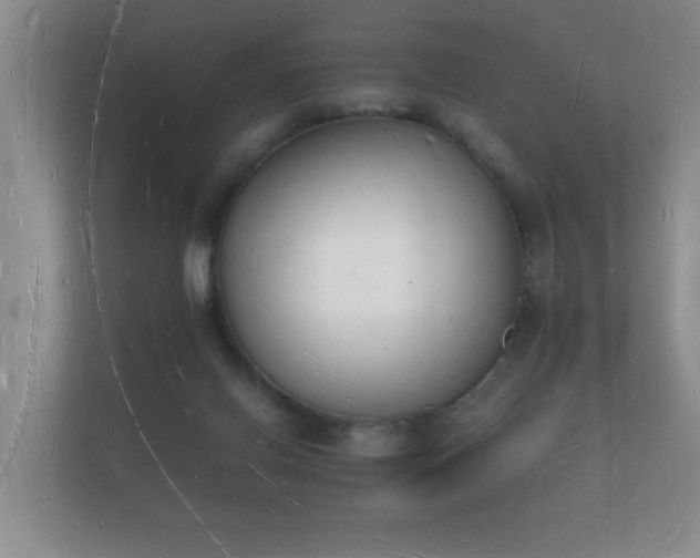 X0000112140070200908141203