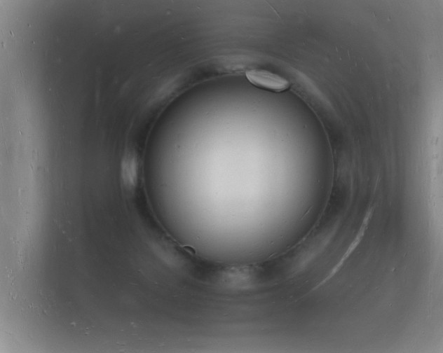 X0000112140076200908141203