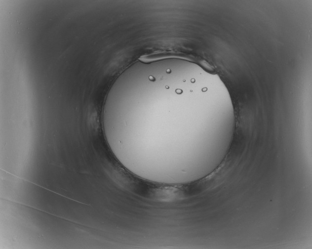 X0000112140086200908141203