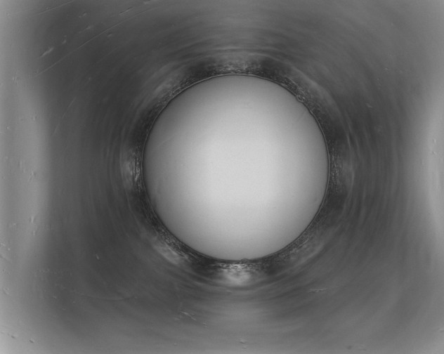 X0000112140091200908141203