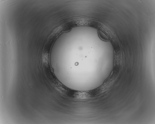 X0000112140093200908141203