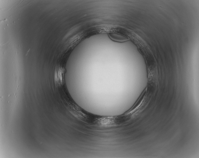 X0000112140094200908141203