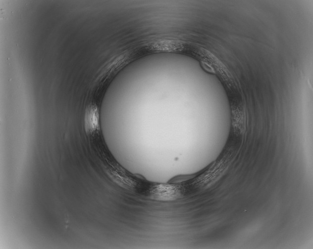 X0000112140095200908141203