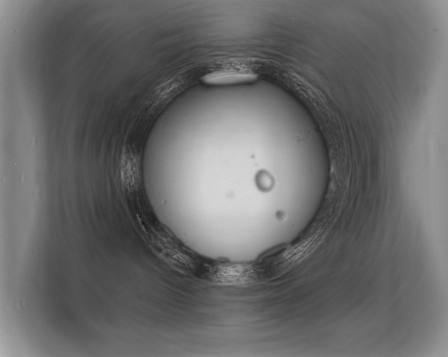 X0000112140096200908141203